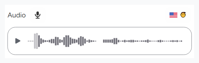 Audio Result